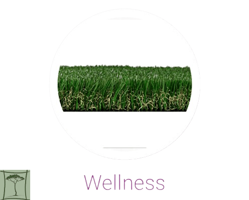 Wellness - Elbűvölő luxus 1 wellness