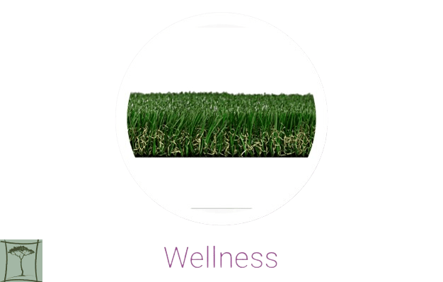 wellness